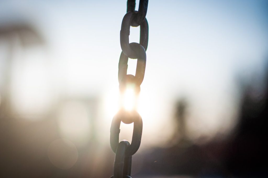 The Hidden Risks of Cheap Link Building Services for Financial Websites — Photo by Aida B on Unsplash